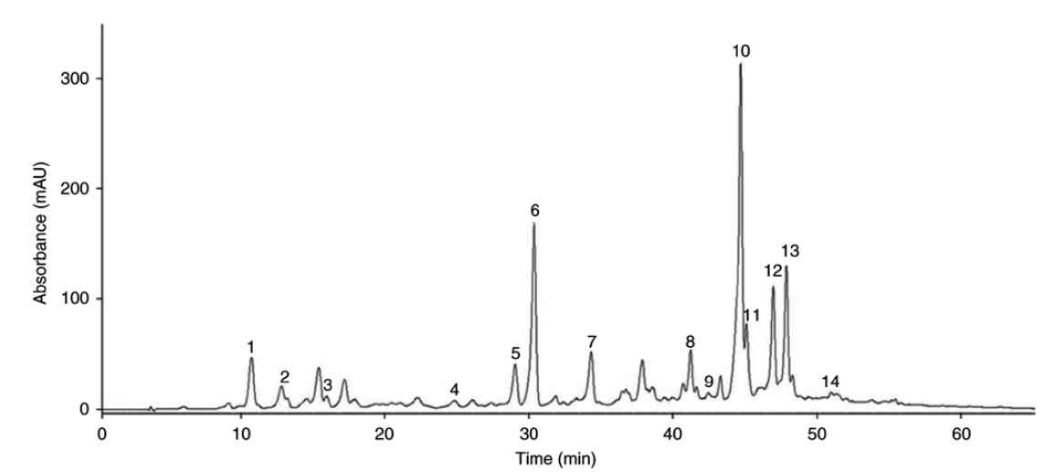 High\_ performance liquid chromatography of polyphenols of Artemisia argyi