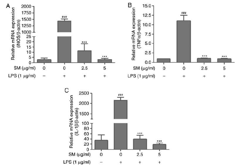 Inhibitory effects of SM polyphenols on the mRNA expression of pro-inflammatory factors in LPSstimulated RAW 264.7 cells. Cells were pretreated with LPS for 1 h, and then incubated with the indicated concentrations of SM polyphenols for 16 h