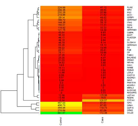 Heatmap was constructed for the 43 DEGs and clustering of genes were done based on FPKM (Fragment Per Kilobase Million) values