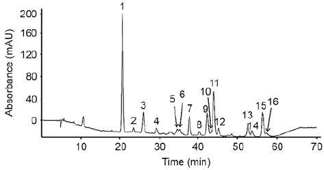 HPLC profiles at 280 nm of the flavonoid extract from Korean Scutellaria baicalensis Georgi. Peaks