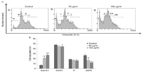 FSB regulates cell cycle progression of AGS cells. (A) Cell cycle distribution was determined using flow cytometry. (B) Histogram representation of cell cycle of AGS cells treated with FSB