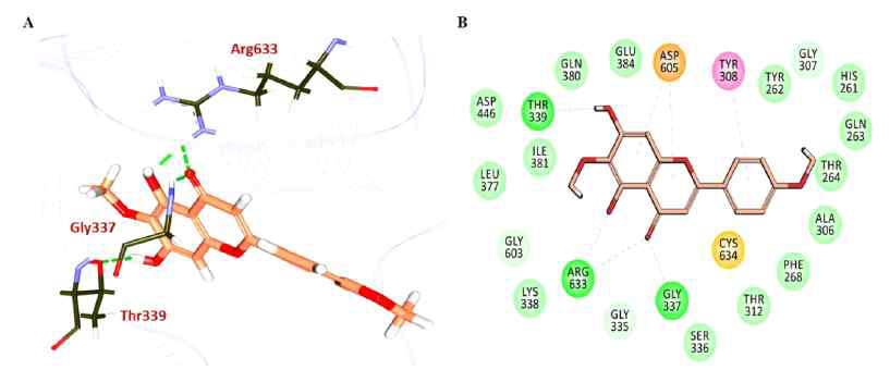 Intermolecular hydrogen bond interactions between protein and the ligands. (A) DDX4-Pectolinaringenin complex. (B) The residues Gly307, Gly335, Ser336, Lys338, and Gly603 have demonstrated the carbon-hydrogen bonds