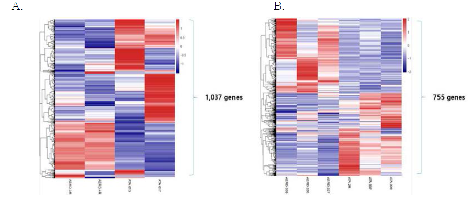 차등발현 유전자에 대한 heatmap (A: Atopy 그룹, B: Non-atopy그룹)