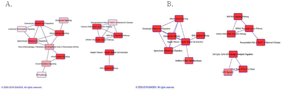 Pathway 간 연결성 Network (A: Atopy 그룹, B: Non-atopy그룹)