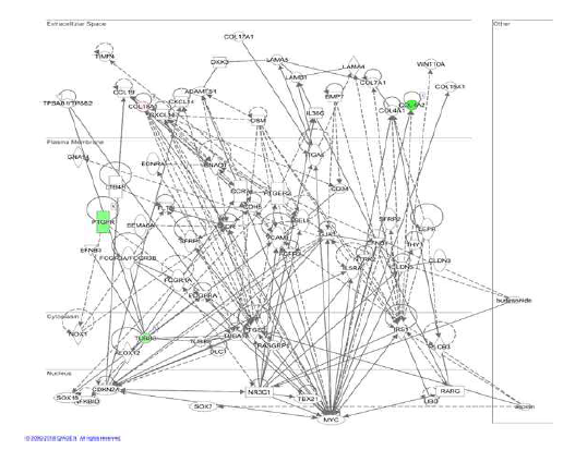 아스피린과민성 천식의 전사체 및 후성유전체 통합 네트워크 분석