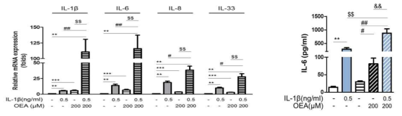 IL-1β에 의한 OEA의 염증유도 효과