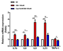 mRNA 수준에서 TRPV-1 antagonist 에 의한 A549 세포 염증 유도 효과 변화
