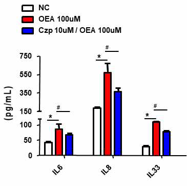 Protein 수준에서 TRPV-1 antagonist 에 의한 A549 세포 염증 유도 효과 변화
