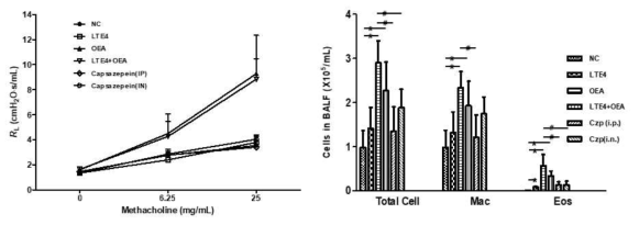 기도저항성(AHR;좌) 및 기관지 폐포 세척액(BALF;우)에서 세포분화도 측정