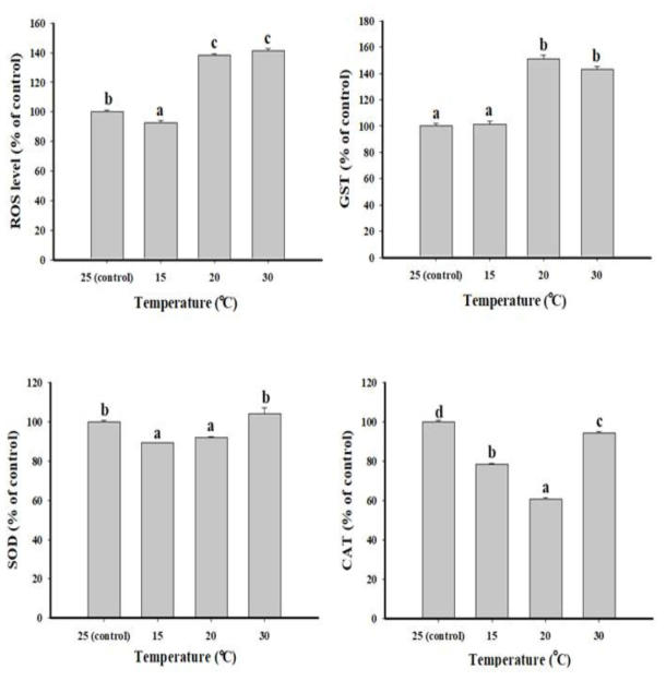 온도 변화에 따른 ROS 및 항산화 효소 활성