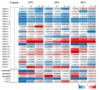 온도에 따른 항산화 관련 유전자들의 발현 변화