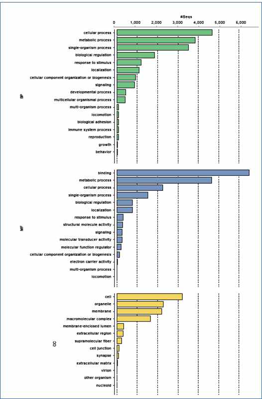 B. calyciflorus RNA sequencing GO analysis