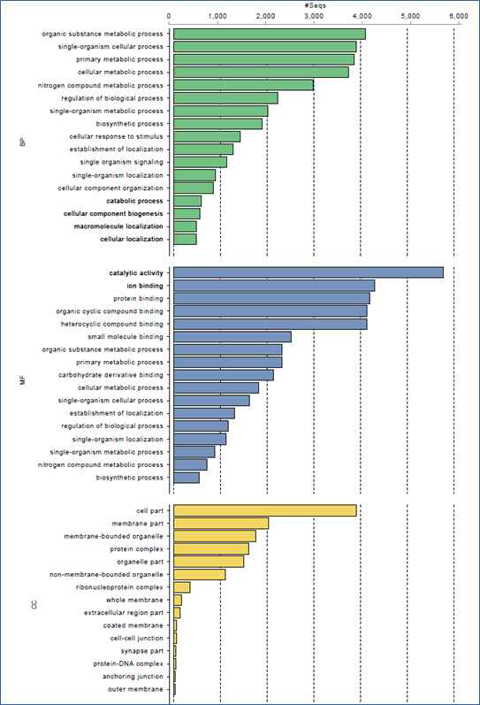 B. plicatilis RNA sequencing GO analysis