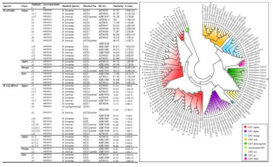 Glutathione S-transferases (GSTs) 유전자 정보 및 계통도