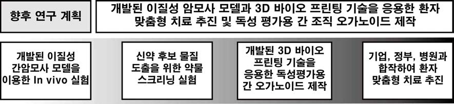 향후 연구 계획