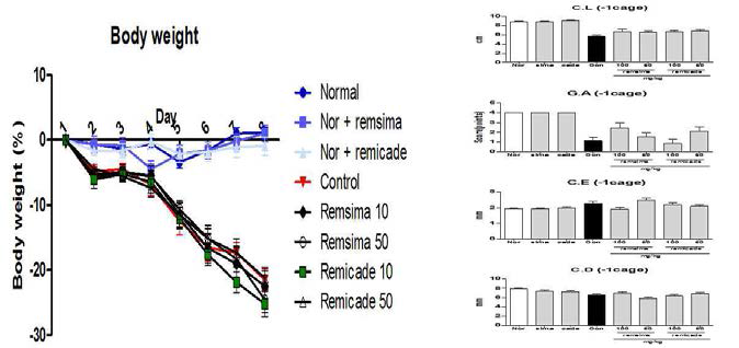 Remsima 및 remicade의 DSS 유도 대장염에 대한 효과 비교 확인