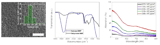 합성된 멜라닌 나노입자의 SEM 사진과 직경 분포, FTIR 분석 스펙트럼, 투과율 측정 스펙트럼