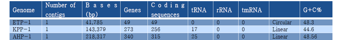 Genome assembly summary of ETP-1, KPP-1 and AHP-1 phages