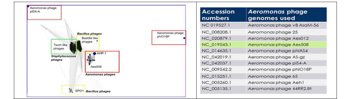 Genome comparison of AHP-1 by CLANS analysis