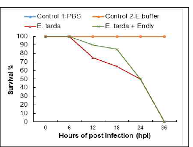 KPP-1 rec. endolysin therapuetic power against E. tarda challanged adult zebrafish until 36 hpi.Values are mean ±SD of the duplicates