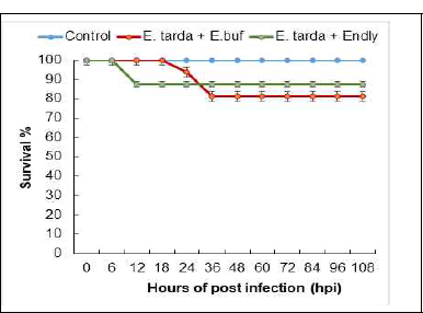 KPP-1 rec. endolysin therapuetic power against E. tarda challanged adult zebrafish larvae until 108 hpi.Values are mean ±SD of the triplicates