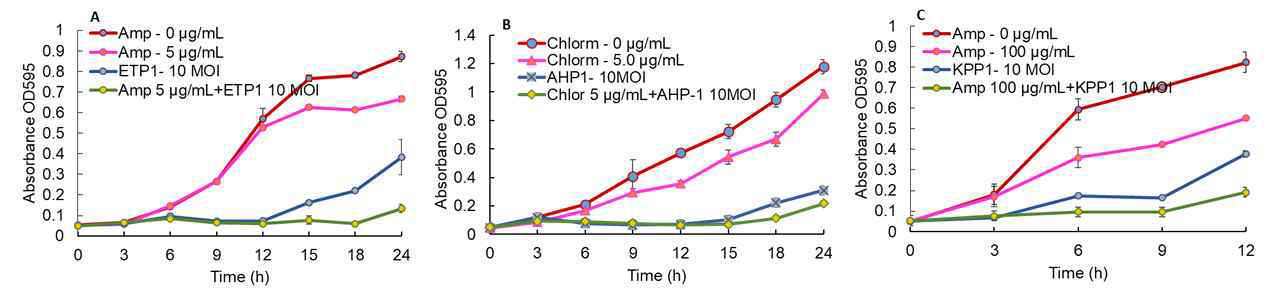 Effects of antibiotic-phage combination to control fish pathogenic bacteria