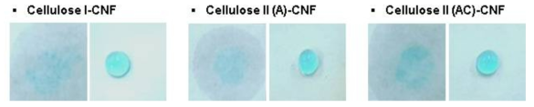 Comparison of hydrophobicity of each CNFs coated paper before/after gas grafting treatment