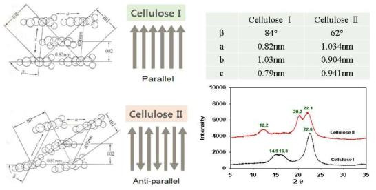 Comparison of cellulose I and cellulose II