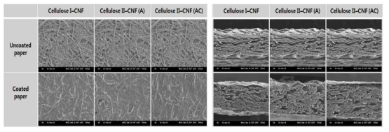 SEM image of surface (left) and cross section (right) of each CNFs coated papers