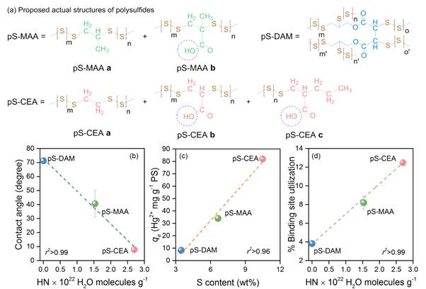 Polysulfides with oxygenous moieties; (a)proposed actual structures; (b)contact angle-total hydration number (HN) plot; (c)adsorption capacities (qe) vs. S content available for Hg2+ at 2:1 S:Hg2+ complexation[Co=100mg/L; pH=6; V=50mL; m=40mg; T=30℃; shaken at 300rpm] vs.; (d)%binding site utilization vs. HN