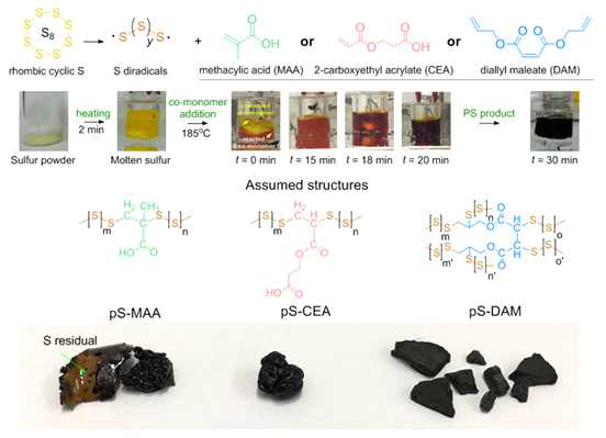 Hydrophilic PS synthesis from ROR of molten S8 with different co-monomers: MAA, CEA, and DAM (reaction image: CEA as co-monomer); assumed PS structures and their actual samples