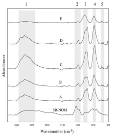 각 시료의 FTIR 분석 결과