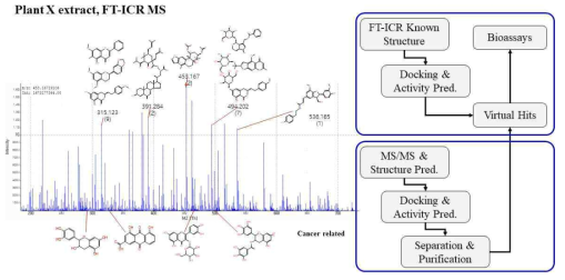 FT-ICR 스펙트럼과 유효물질 도출과정 모식도