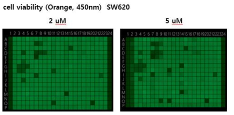 SW620암세포주에서 cell viability를 측정한 결과