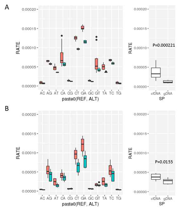 cfDNA와 cellular genomic DNA로부터 생산된 시퀀싱 데이터 에러율 비교를 통한 cfDNA 특이적 DNA 손상 규명