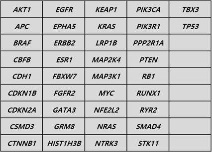 진단 패널 v2에 포함된 38개 유전자 리스트