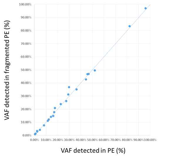 DNA 절편화에 따른 ctDNA VAF 일치율