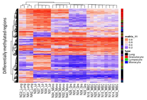 DNA 메틸화 프로파일에 기반한 unsupervised clustering heatmap