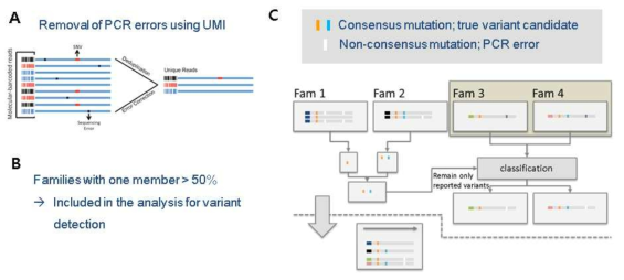 UMI를 사용한 시퀀싱 데이터 분석 개념도 A) UMI를 이용한 PCR error를 제거. B) Singleton 활용 필요성 C) PCR duplicate이 없는 read들을 활용하면서 UMI를 이용하는 방법