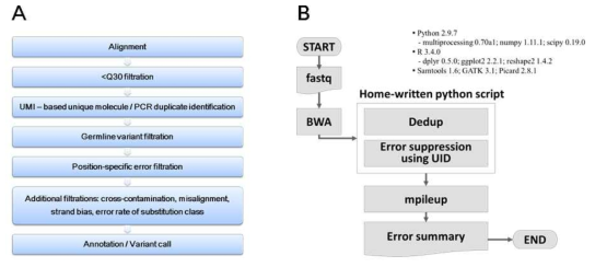UMI 시퀀싱 데이터 분석 A) 전체 workflow B) UMI-based unique molecule 동정 및 consensus 시퀀스