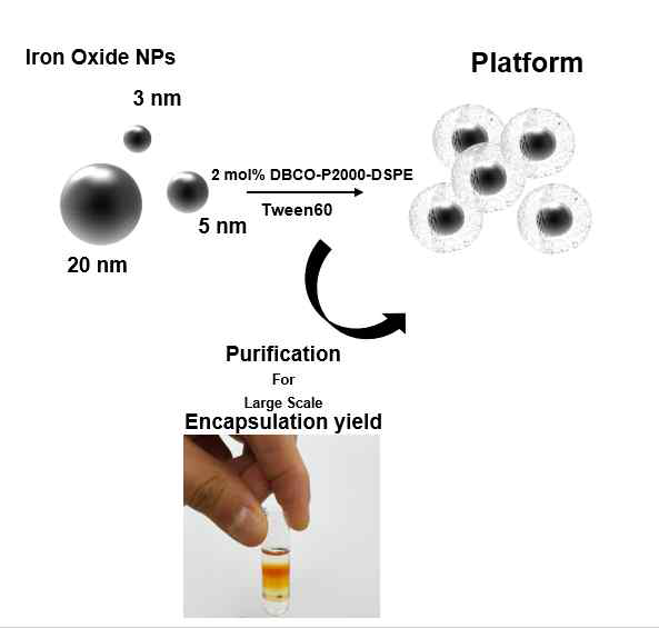 철 나노입자의 친수화 및 정제방법의 모식도