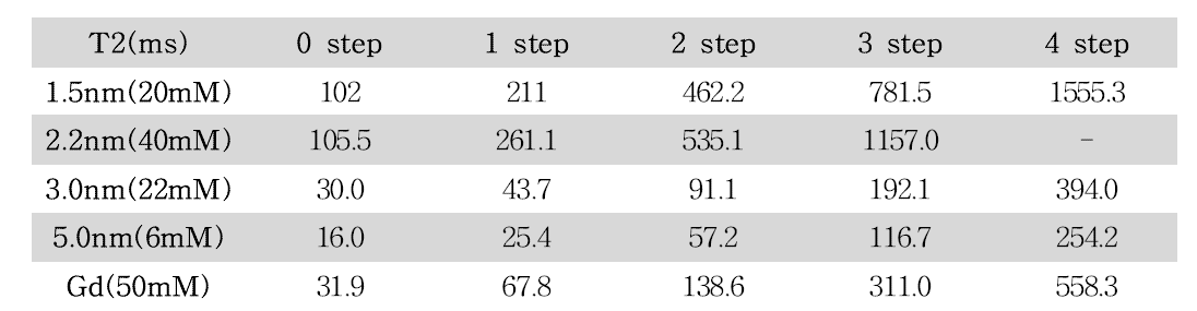 가장 높은 농도의 Gd과 크기별 Iron nano particle의 T2 값 (0∼4 step)