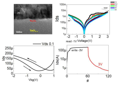 (좌상) Ta2O5/TaO2-x layer 단면 TEM 이미지. (우상) 산소 정공 migration에 따른 Ta2O5/TaO2-x 층의 저항변화. (좌하) 그래핀/TaOx bi-layer 구조에서의 transfer curve. (우하) 게이트 스트레스 #에 따른 그래핀의 gradual 전류값 변화