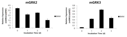 파골세포 분화시 GRK 유전자의 발현 변화 real-time RT PCR 결과