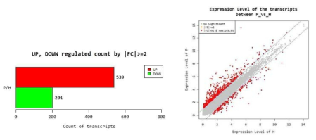 정상인과 치주염 환자의 전사체 분석 결과 차별 발현되는 유전자 수와 scatter plot