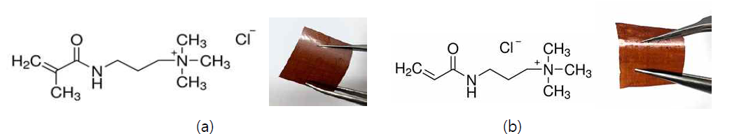 (a) [3-(methacryloylamino)propyl]trimethylammonium chloride (MAPTAC), (b) (3-acryl amidopropyl)trimethylammonium chloride (APTAC) 화학구조와 제조된 free-standing film