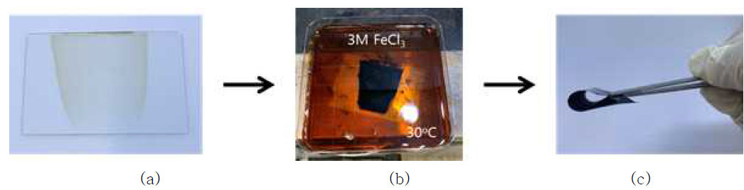 FeCl3 수용액 속에서 유연한 Fe/우루시 필름 형성