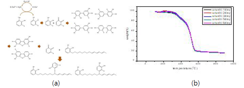 상대습도 80%, 30°C에서 우루시올의 (a) 반응 메커니즘 및 (b) TGA 결과