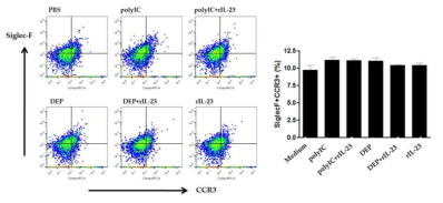 PolyI:C, PolyI:C/rIL-23, DEP, DEP/rIL-23 처리 MLE12 세포와 마우스 호산구 co-culture