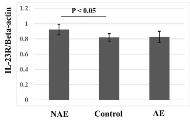비알레르기성(NAE)/알레르기성(AE) 호산구 천식 환자/정상 대조군(C) 말초 혈액 단핵구에서 IL-23R 유전자 발현 비교(IL-23R/β actin)